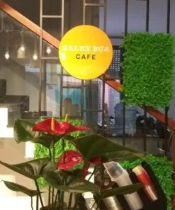 Hộp đèn hút nổi giá bao nhiêu?