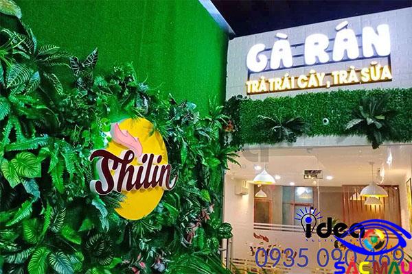 Bảng hiệu cỏ nhân tạo có ưu điểm gì khác? Thường sử dụng các loại cỏ nào? Bang hieu co nhan tao 1