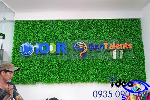 Bảng hiệu cỏ nhân tạo có ưu điểm gì khác? Thường sử dụng các loại cỏ nào? Bang hieu co nhan tao 2