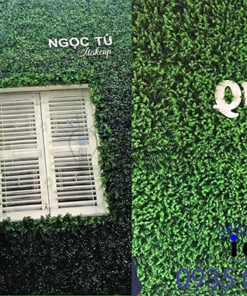 Thỏa Sức Sáng Tạo Ý Tưởng Với Vườn Đứng Trong Nhà Đầy Sức Sống Thi cong vuon tuong dung 2