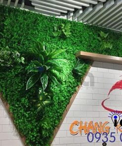 VƯỜN ĐỨNG CÔNG CỤ PR MỚI ĐẠT HIỆU QUẢ VƯỢT TRỘI HƠN MONG ĐỢI Vuon dung la gi 2