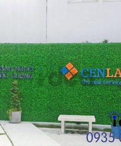 Vườn tường nhà phố