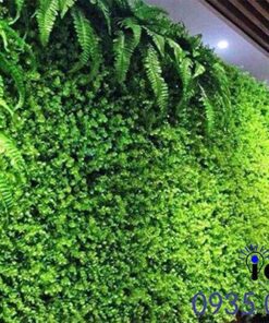 Thỏa Sức Sáng Tạo Ý Tưởng Với Vườn Đứng Trong Nhà Đầy Sức Sống Vườn đứng 6