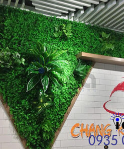 Thỏa Sức Sáng Tạo Ý Tưởng Với Vườn Đứng Trong Nhà Đầy Sức Sống Vườn đứng trong nhà 6