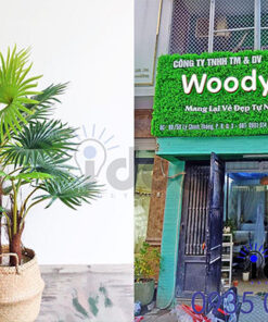 Làm bảng hiệu cỏ nhân tạo cho spa đẹp tại tp hcm. bang hieu co dep 3