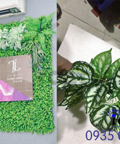 Làm bảng hiệu cỏ nhân tạo cho spa đẹp tại tp hcm. Mẫu thiết kế thi công bảng hiệu quảng cáo bằng cỏ giá rẻ cực đẹp