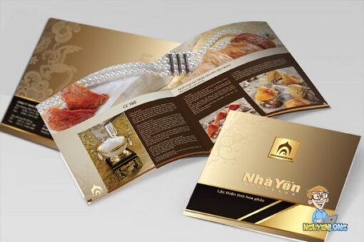 Quảng Cáo Nguyễn Long Sắc Màu - Đơn vị thiết kế và in ấn catalog chất lượng, giá rẻ