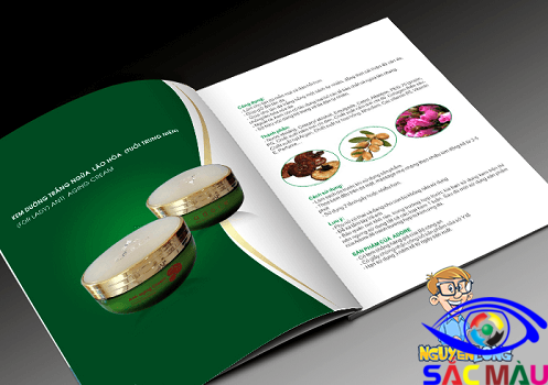 Thiết kế và in ấn catalog giá rẻ tại Nguyễn Long 